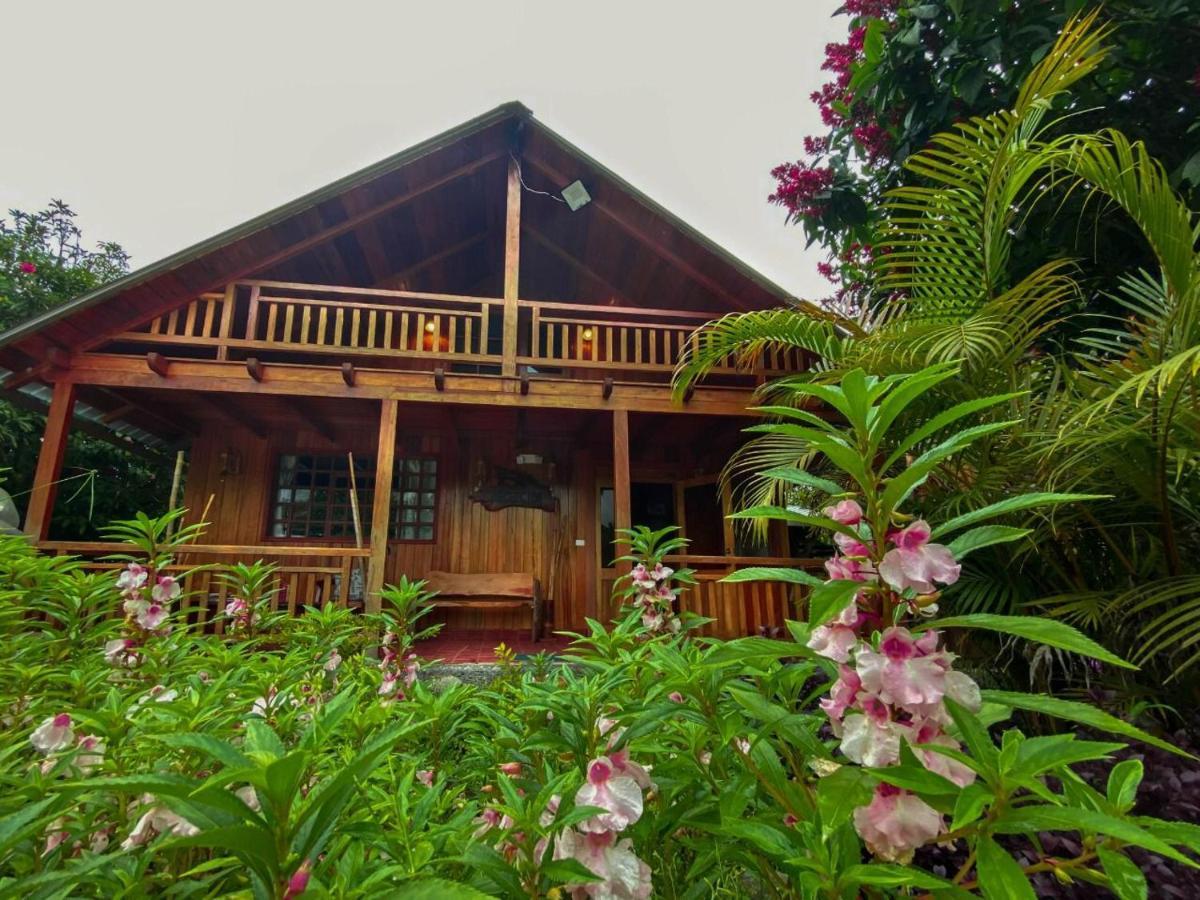 Hosteria Los Cedros De Mindo Exteriér fotografie