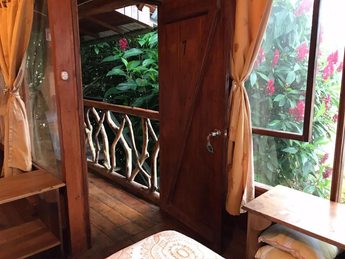 Hosteria Los Cedros De Mindo Exteriér fotografie