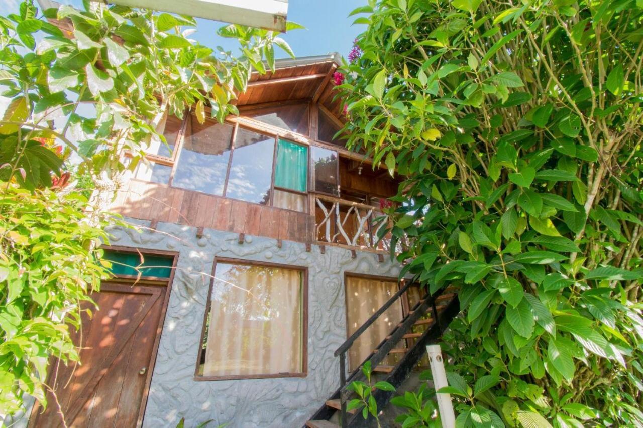 Hosteria Los Cedros De Mindo Exteriér fotografie