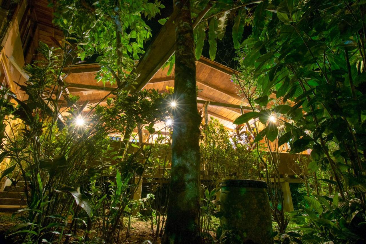 Hosteria Los Cedros De Mindo Exteriér fotografie